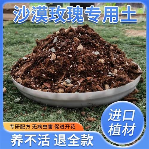 沙漠玫瑰专用土营养土沙漠玫瑰盆栽土种植土沙漠玫瑰花土肥料包邮