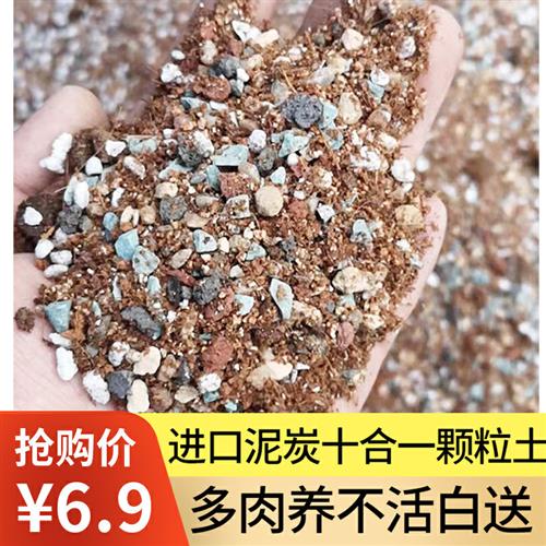 多肉颗粒土专用营养土纯颗粒进口泥炭小苗土家用透气麦饭石铺面石