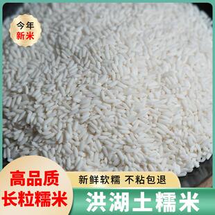 现货洪湖新鲜长粒珍珠糯米端午包粽子籼米饭团粘米酿酒5斤白糯米