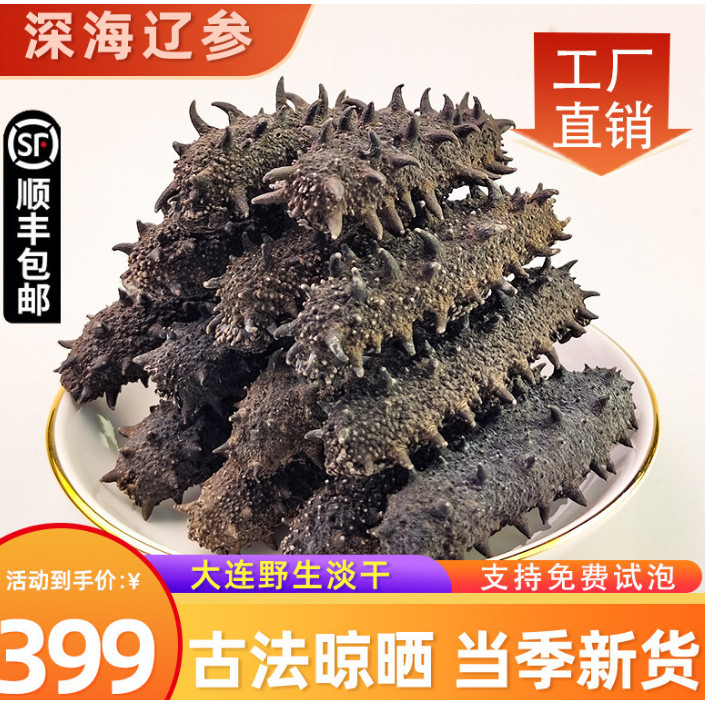 大连深海野生淡干海参干货500g辽刺参礼盒非鲜活即食顺丰包邮