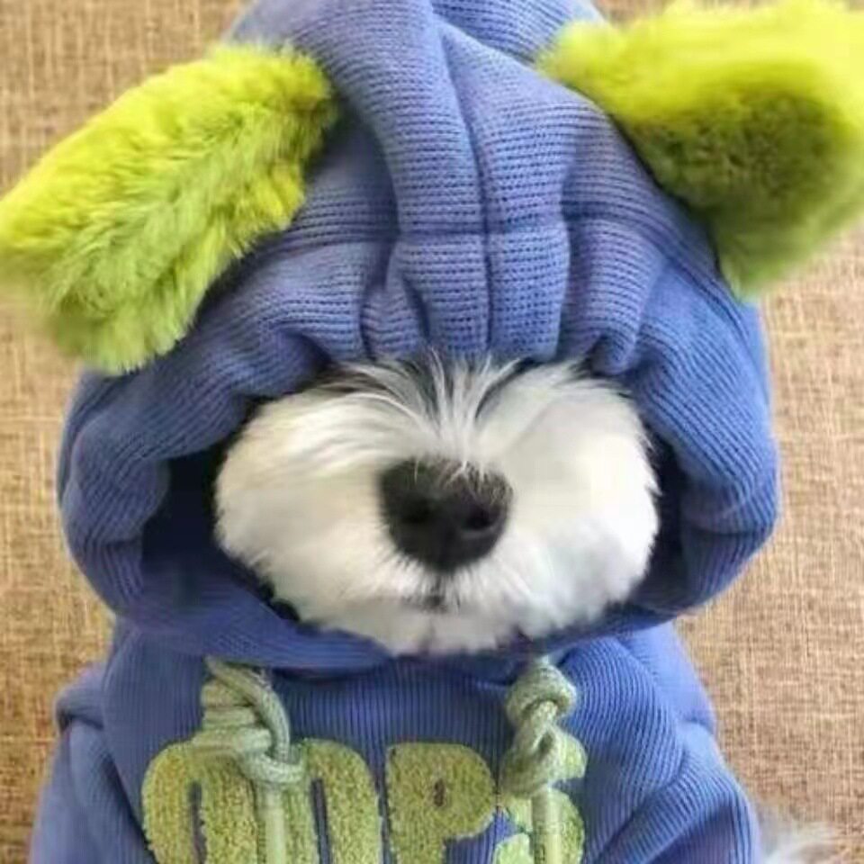 宠物狗狗猫猫两脚冬装保