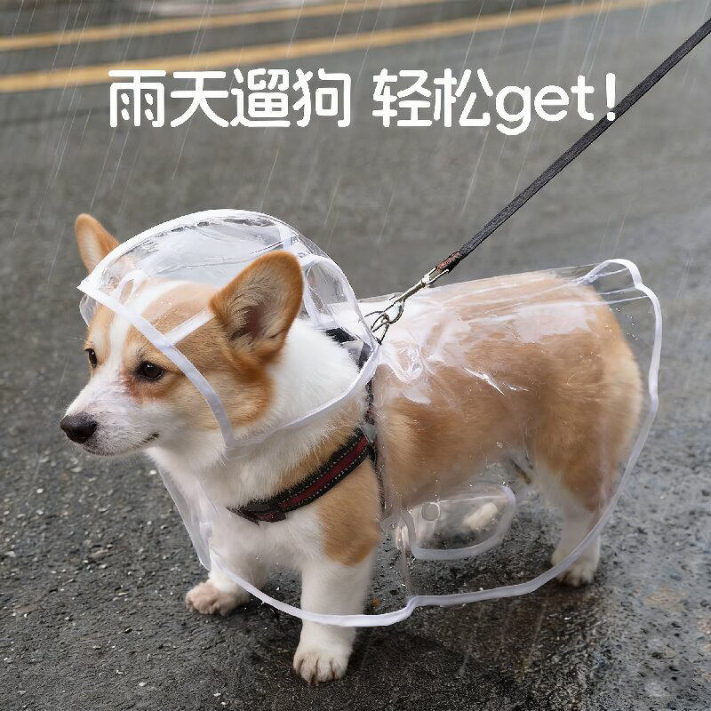 狗狗雨衣斗篷宠物柯基专