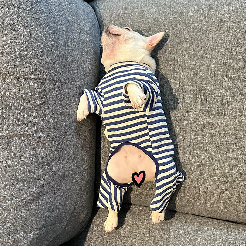 卡通小白四脚衣棉弹力猫狗衣服宠物服装泰迪雪纳瑞法斗巴哥可爱