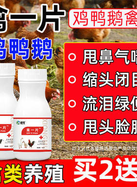 禽一片正品养鸡专用鸡鸭鹅禽类鸡缩头不食白便绿便鸡温呆立闭眼