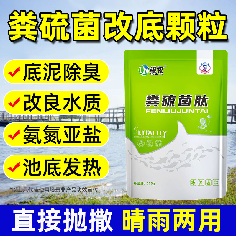 粪硫菌改底颗粒水产养殖底改王降硫化氢鱼虾蟹塘生物底改净水除臭