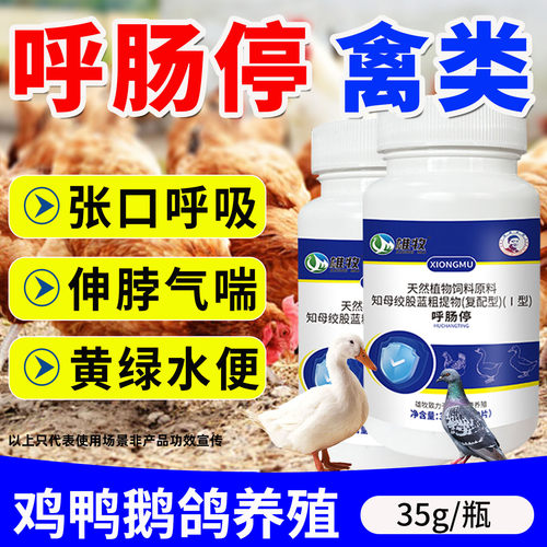 禽类呼肠停鸡鸭鹅鸽子呼喘停张口呼吸噜伸脖气喘黄绿水便啰音怪叫