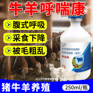 牛羊呼喘康猪牛羊呼吸急促皮毛粗乱张嘴呼喘停兽用猪饲料添加剂