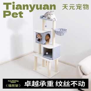 猫爬架子猫窝猫树一体太空舱树洞猫抓树跳台 天元 宠物_猫爬架