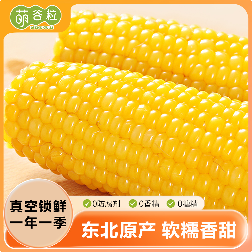 2025萌谷粒东北黄糯玉米