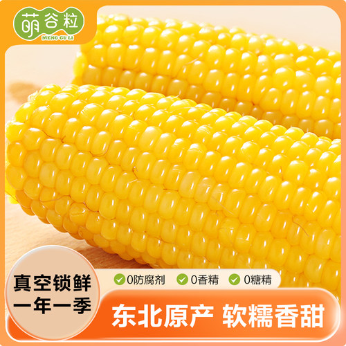 2025萌谷粒东北黄糯玉米