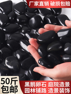 黑色鹅卵石造景雨花石天然精抛光石头庭院花园水系黑白鹅卵石原石