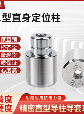 精密模具直身导柱导套模具精定位圆形零度直身定位柱精定位销B1型