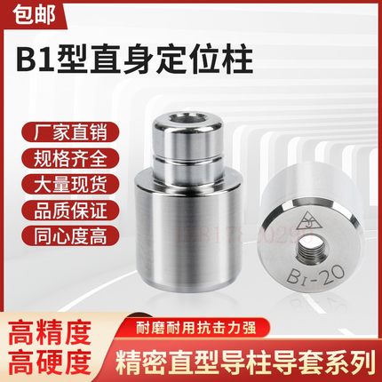 精密模具直身导柱导套模具精定位圆形零度直身定位柱精定位销B1型