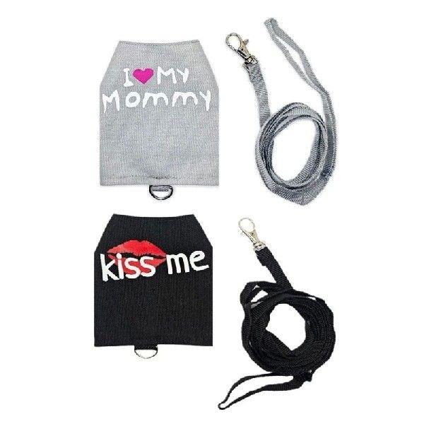 Lizards Harness and Leash Set Glowing at Dark Safe Small