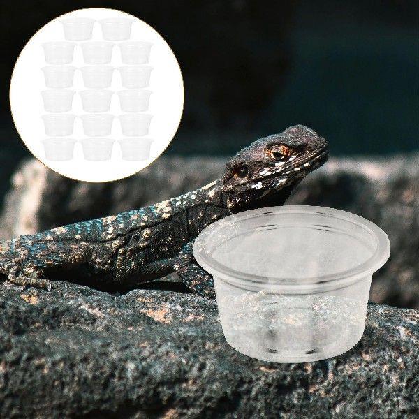 20 Pcs Crested Reptile Water Box Animal Feeder Cups