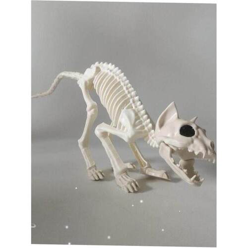 Halloween Skull Bat spider scorpion animal skeleton skull