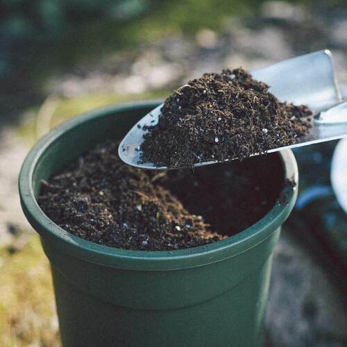 Organic Potting Soil Mix Nutrient Rich Coco Coir Worm Castin