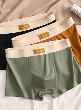 3pcs Men Underwear Cotton BoxerShorts Hombre Panties Man Bre
