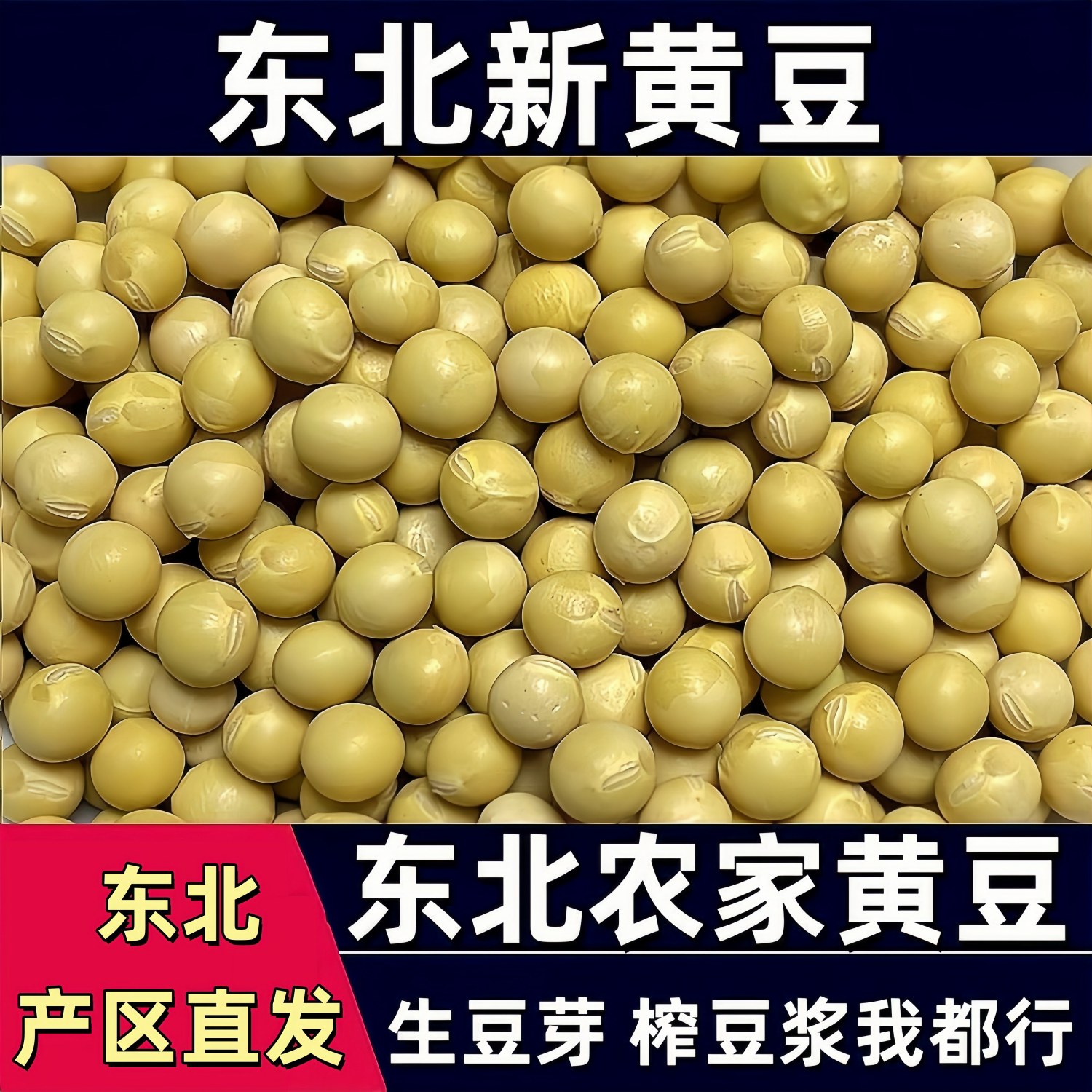 黑龙江5斤东北黄豆打豆浆