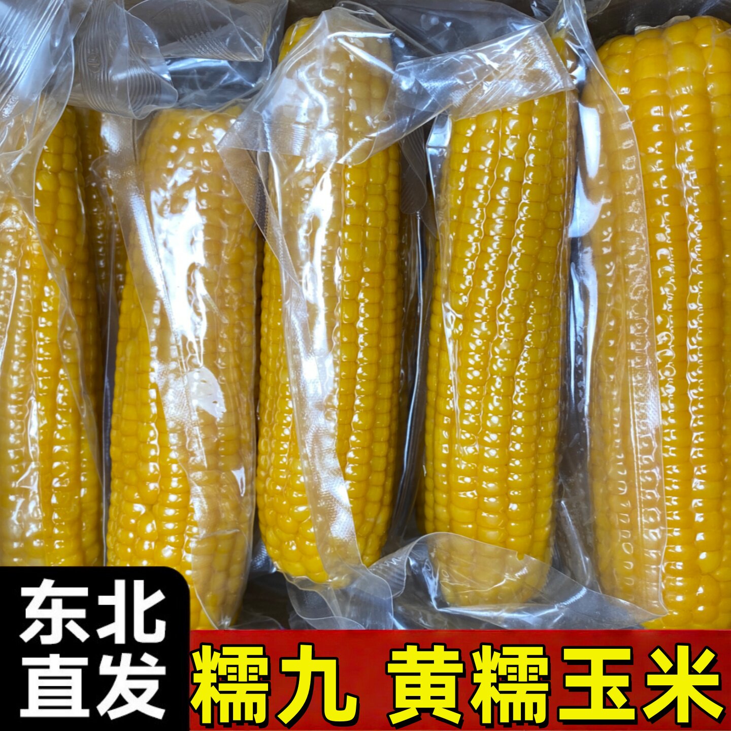 2026年糯九东北黄糯玉米水煮玉米鲜玉米糯玉米棒子黄玉米产地直发