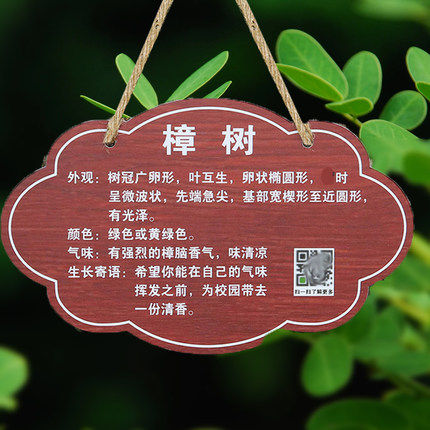 植物标签亚克力吊牌挂牌标识牌树牌植树节树木花草介绍认领认养卡