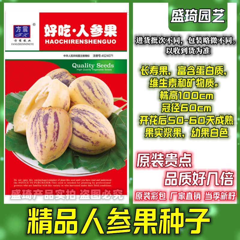 人参果长寿果人参果种子绿色天然果南北适合春季播人生果种夏季