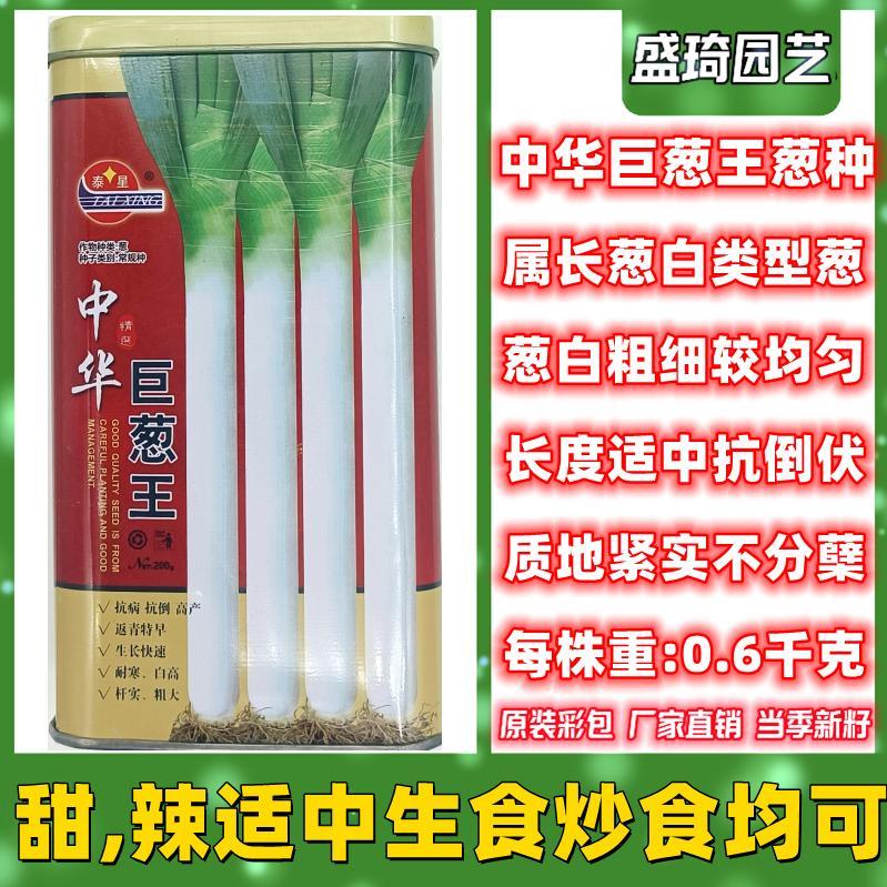 中华巨葱王大葱种子抗病章丘铁杆大葱种籽不分蘖大田种植春秋播种