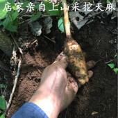 深品山特产干野外生MSL长无硫天麻正非长白山云南邵货0通可切片50
