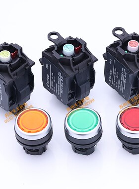 上海天逸 22mm自锁带灯平头按钮开关LA42PSD-10/01 DC24V AC220VG