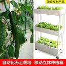 陽臺智能自動無土栽培蔬菜設備水培種植機家用室內種菜神器種植箱