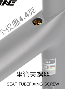 TiNE超轻 闪电sl7/sl8坐管夹改装件 钛合金螺丝 4.4g