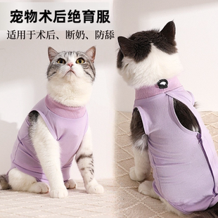 猫咪手术服母猫绝育服断奶公猫防舔衣服透气薄款防脱宠物术后用品