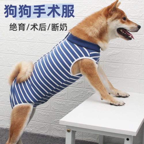 狗狗手术服绝育服轻薄透气术后服
