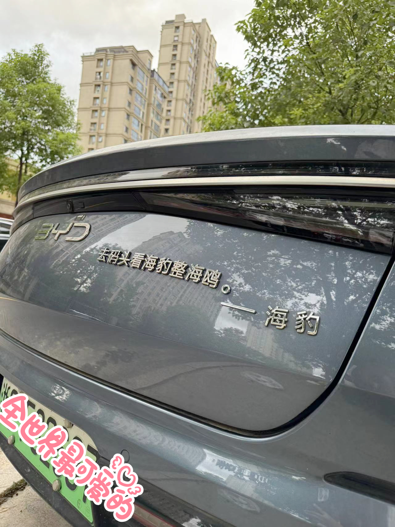 比亚迪改装加勒比海豹法打白娘子万事K创意装饰贴汽车尾标贴车标