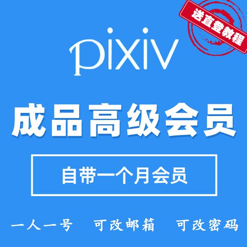 pixiv 高级会员 p站图片p站 代充 动漫素材二次元高清插画图片