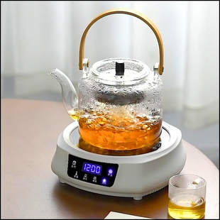 电陶炉茶炉迷你小型家用煮茶器专波炉非电磁炉用玻璃壶铁壶泡茶光
