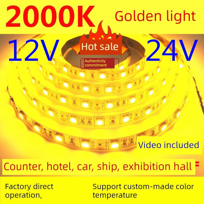 低电压12V高亮度2000K金光Led灯条24V防水5050金光Led灯条酒店Ktv