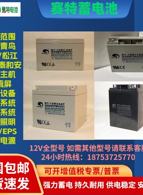 赛特海湾GST松江利达天成泰和安消防主机BT12V24AHUPS/7/17/38ah