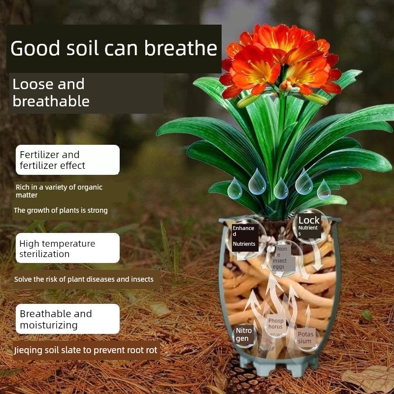 松针腐殖质土,花卉栽培通用专用土,天然旋叶分解土,纯Clivia Orch