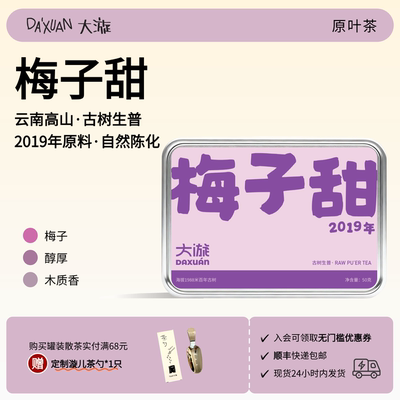 2019古树生普梅子香50g罐装