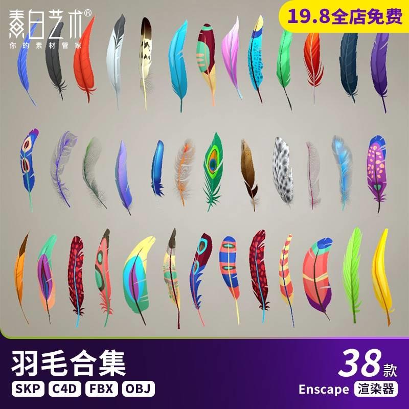 38款现代五彩缤纷卡通羽毛墙饰挂件装饰品鸟羽SU模型C4D素材S890