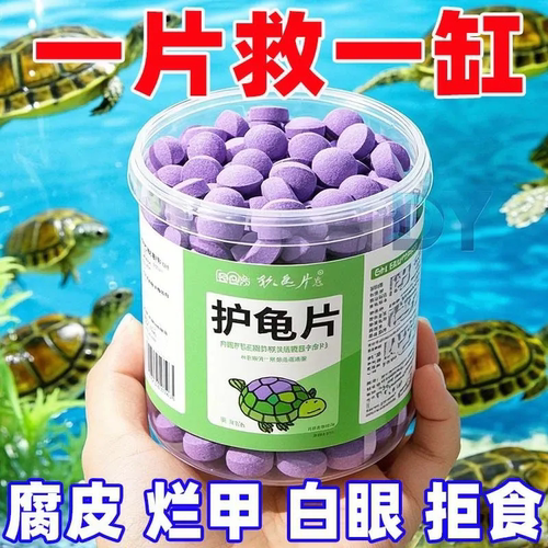 【无效管褪】乌龟预防净水养护