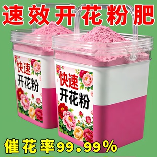 专治不开花】三角梅催花开花粉促芽剂催光杆发芽治黄叶不发芽催花