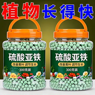 硫酸亚铁花肥料栀子花茶花杜鹃桂花防黄叶盆栽营养土壤调酸水溶肥