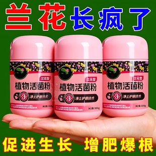 植物活菌粉兰花专用微生物菌剂养根壮根防烂根水溶肥养花护根肥料