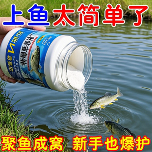 高浓缩开口果炫V7诱鱼粉强效添加剂黑坑野钓快速聚鱼打窝钓饵 正品