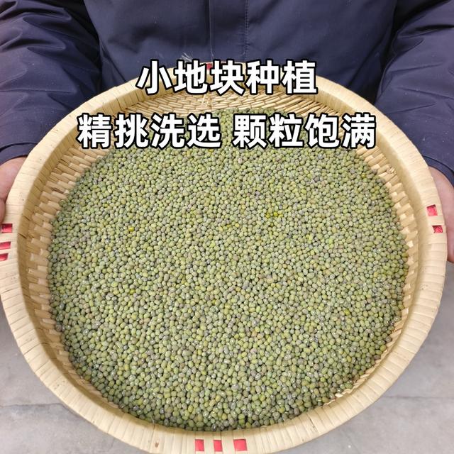 【当季新绿豆】农家老品种毛绿豆精选天然康粗粮绿豆汤夏季糖水