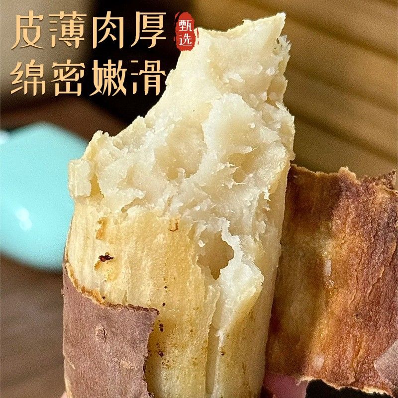 沙地哈密冰糖蜜薯白心蜜薯糖心地瓜软糯香甜奶油地瓜农家自种番薯