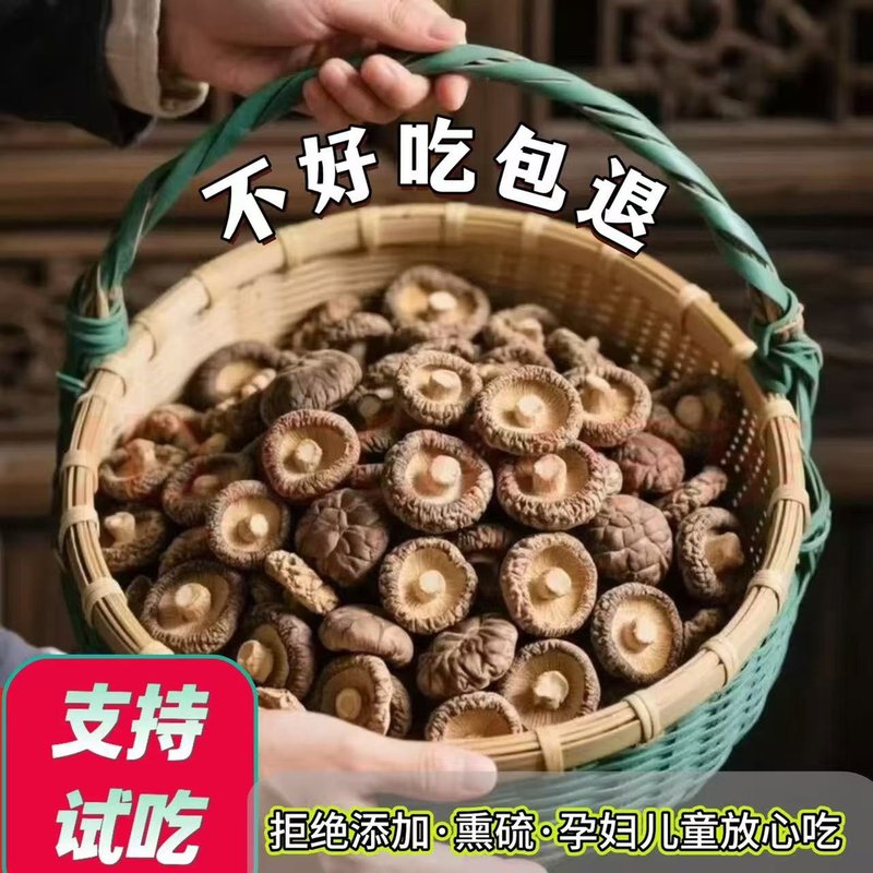 《精选小香菇》2026新货农家自产金钱香菇香浓郁肉质肥厚产地直发