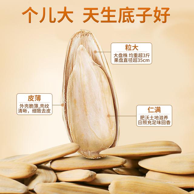 【新货特大】老街口轻盐打手瓜子500g/袋363白皮五香葵花籽零食炒